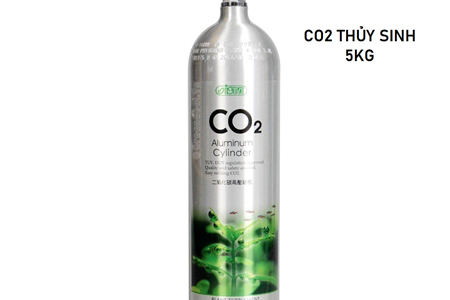 Khí CO2 thủy sinh 8lít chứa 5kg